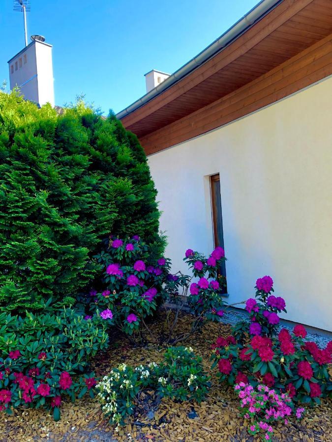 Chojno-Blota Wielkie Apartament Przy Lesie מראה חיצוני תמונה