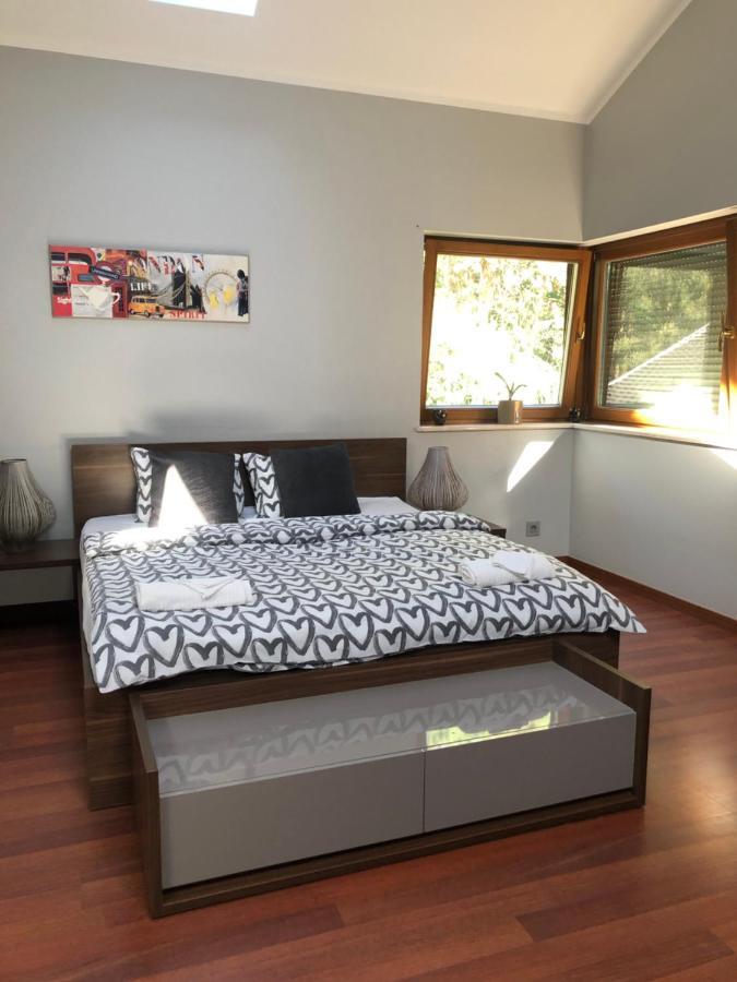 Chojno-Blota Wielkie Apartament Przy Lesie מראה חיצוני תמונה